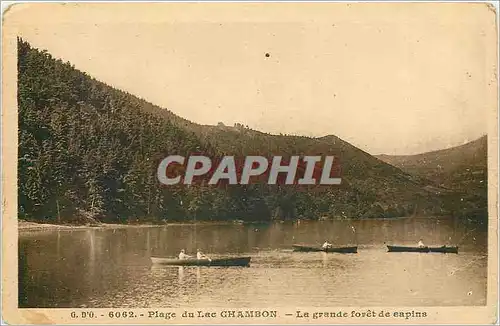 Cartes postales Plage du Lac Chambon - La Grande Foret de Sapins