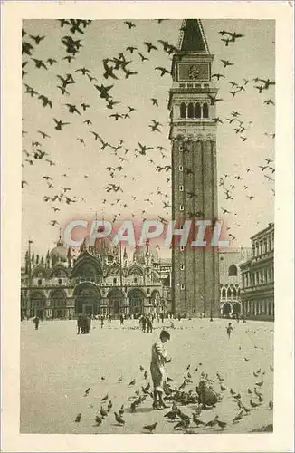 Ansichtskarte AK Venezia  Piazza S. Marco - Volata di Piccioni