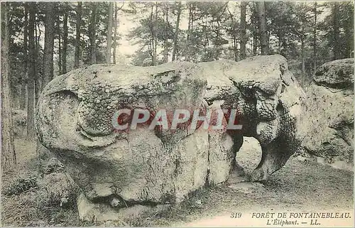 Cartes postales Foret de Fontainebleau - L'Elephant