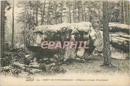 Cartes postales Foret de Fontainebleau - L'Elephant