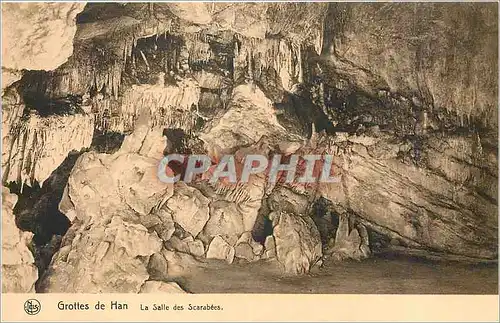 Ansichtskarte AK Grotte de Han la salle des scarabees