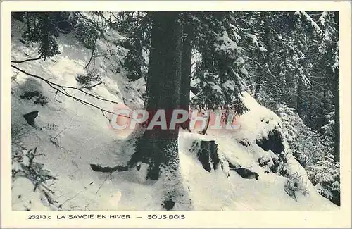 Cartes postales la Savoie en hiver sous-bois