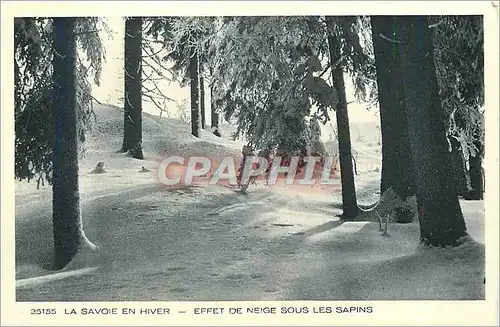 Ansichtskarte AK la Savoie en hiver effet de neige sous les sapins