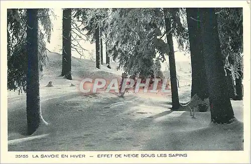 Cartes postales la Savoie en hiver effet de neige sous les sapins