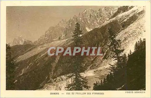 Cartes postales Chamonix vue du Pavillon des Pyramides