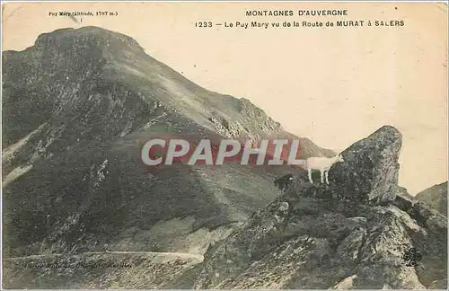 Cartes postales Montagnes d'Auvergne le Puy Mary vu de la route de Murat � Salers Chevre