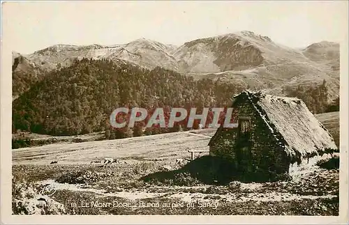 Ansichtskarte AK Le Mont Dore Buron au pied du Sancy