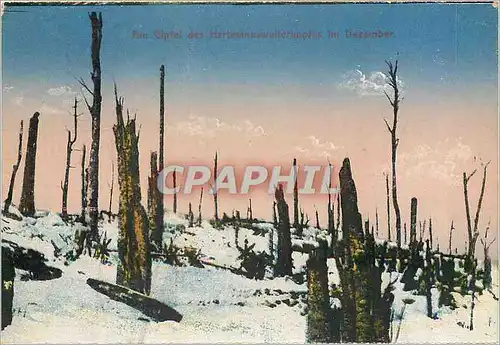 Cartes postales  Vogensee