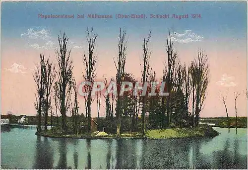 Cartes postales Napoleonsinsel bei Mulhausen Ober-Eisass Schlacht