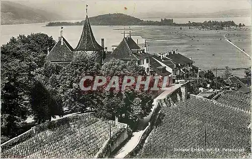 Cartes postales Ch�teau de Cerlier et Ile de St. Pierre