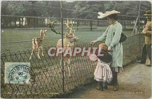 Cartes postales Lyon le parc les daims