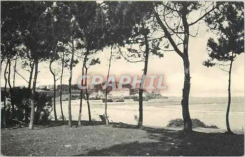 Cartes postales Perros-Guirec plage de Trestraou vue a travers les pins