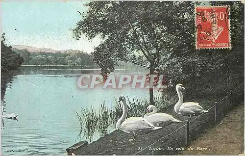 Ansichtskarte AK Lyon un coin du parc