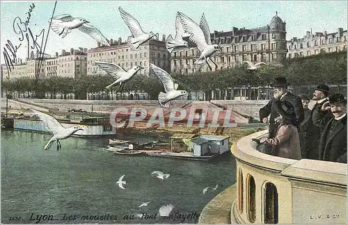 Ansichtskarte AK Lyon les mouettes au pont Lafayette