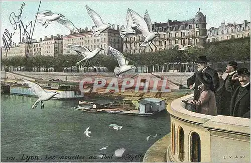 Cartes postales Lyon les mouettes au pont Lafayette