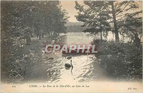 Ansichtskarte AK Lyon le Parc de la Tete-d'Or un coin du lac