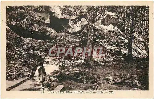 Cartes postales Les Vaux de Cernay Sous bois