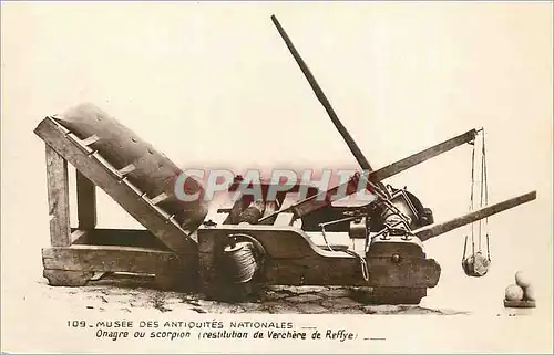 Cartes postales Musee des antiquites nationales Onagre ou scorpion