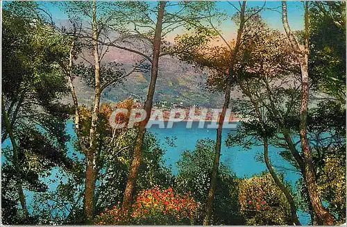 Cartes postales MENTON - Vue g�n�rale prise du Cap-Martin