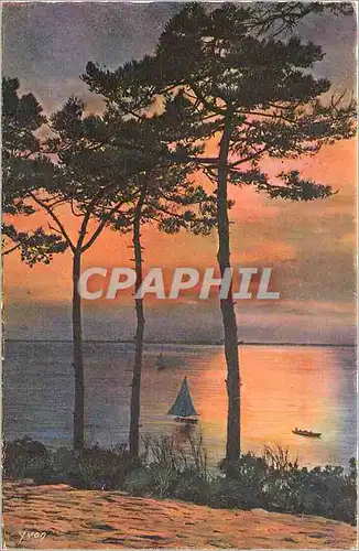 Cartes postales Les Charmes de la Cote d'Argent Moulleau Arcachon Gironde Les Abatilles