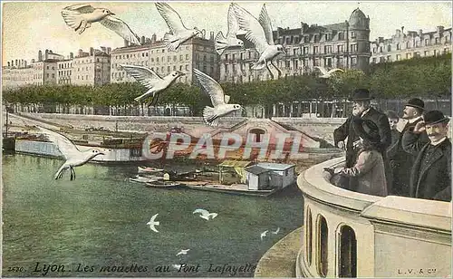 Cartes postales Lyon Les Mouettes au Pont Lafayette