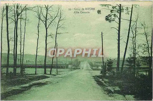 Cartes postales Camp de Bitche Allee Centrale Militaria