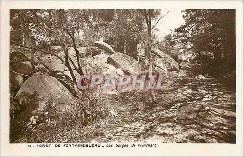 Cartes postales Foret de Fontainebleau Les Gorges de Franchart