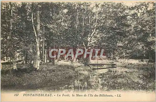 Cartes postales Fontainebleau La Foret la Mare de l'Ile des Billebauts