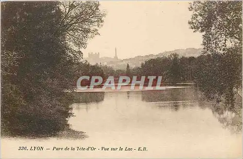 Ansichtskarte AK Lyon Parc de la Tete d'Or Vue sur le Lac