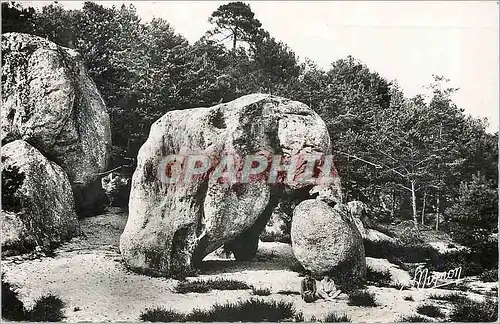 Cartes postales Larchant S et M Le Rocher de l'Elephant