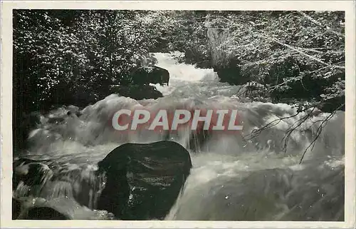 Cartes postales Brides les Bains Savoie Le Doron des Allees