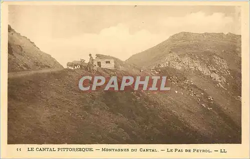 Cartes postales Le Cantal Pittoresque Montagnes du Cantal Le Pas de Peyrol Berger Moutons