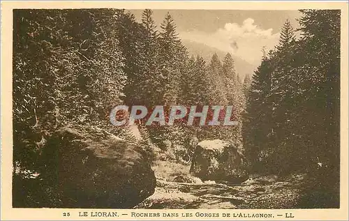 Cartes postales Le Lioran Rocher dans les Gorges de L'Allagnon