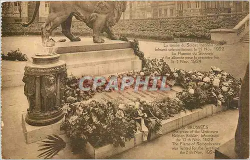 Cartes postales Bruxelles La tombe du Soldat Inconnu Lion Militaria