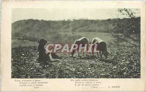 Cartes postales Enfant Moutons