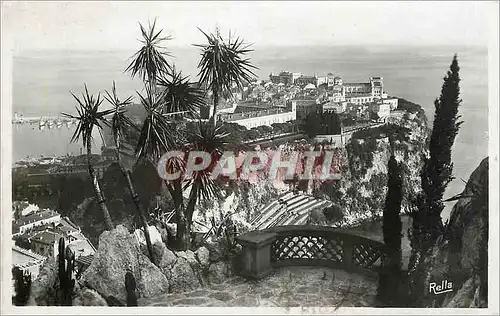 Cartes postales Le Rocher de Monaco vu des Jardins Exotiques