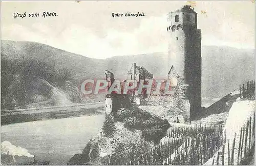 Ansichtskarte AK Gruss vom Rhein Ruine Ehrenfels