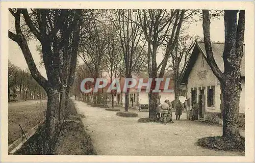 Cartes postales Camp de Mourmelon Baraquements Militaires Quartier Loano Militaria