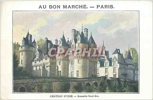 Cartes postales Chateau d'Usse Ensemble Nord Est