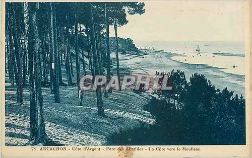 Ansichtskarte AK Arcachon Cote d'Argent Parc des Abatilles La Cote vers le Moulleu