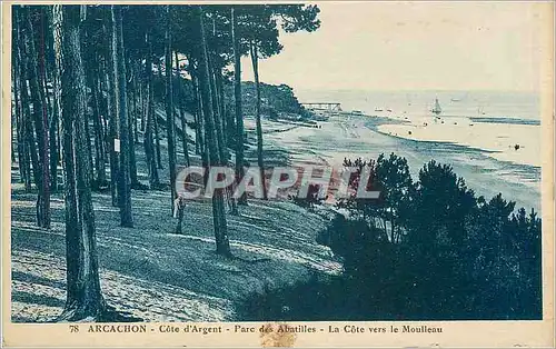 Cartes postales Arcachon Cote d'Argent Parc des Abatilles La Cote vers le Moulleu