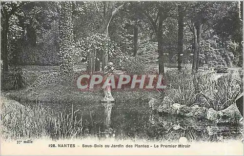 Cartes postales Nantes Sous Bois au Jardin des Plantes Le Premier Miroir