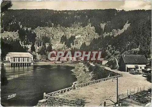 Cartes postales moderne Les Vosges pittoresques Lac Noir