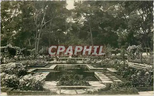 Cartes postales moderne Madrid El Retiro La Rosaleda Estanque