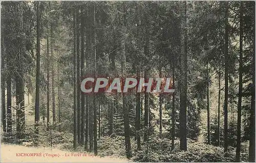 Cartes postales Kichompre Vosges La Foret de Sapin