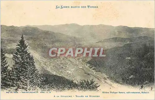 Cartes postales La Ligne Bleue des Vosges A La Schlucht Vallee de Munster