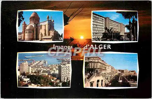 Cartes postales Souvenir d'ALGER