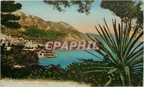 Cartes postales MONTE CARL0- Vue entre les arbres