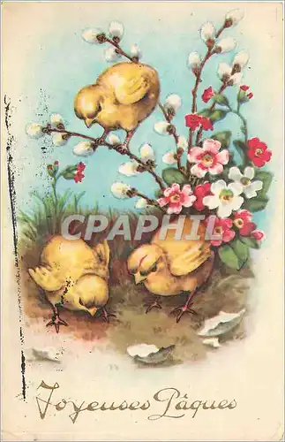 Cartes postales VOEUX