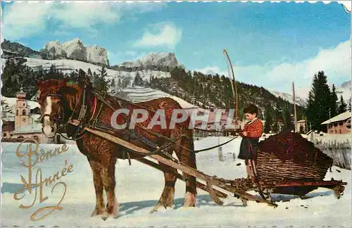 Cartes postales V�UX Cheval Enfant